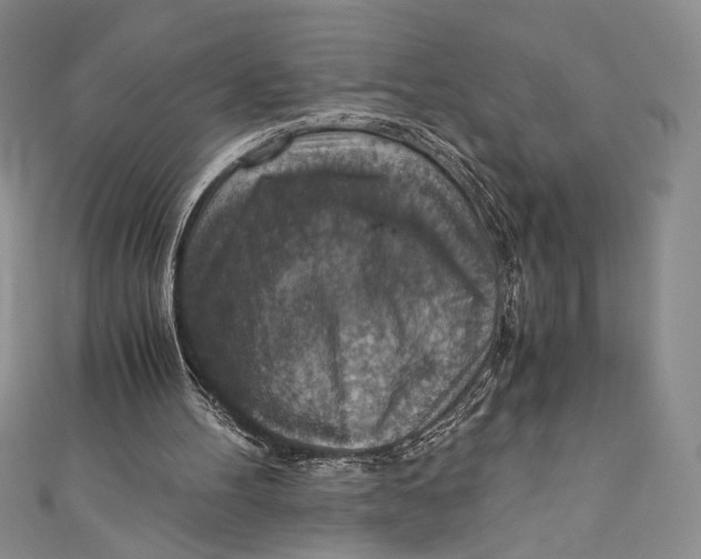 X0000110890100200907091403