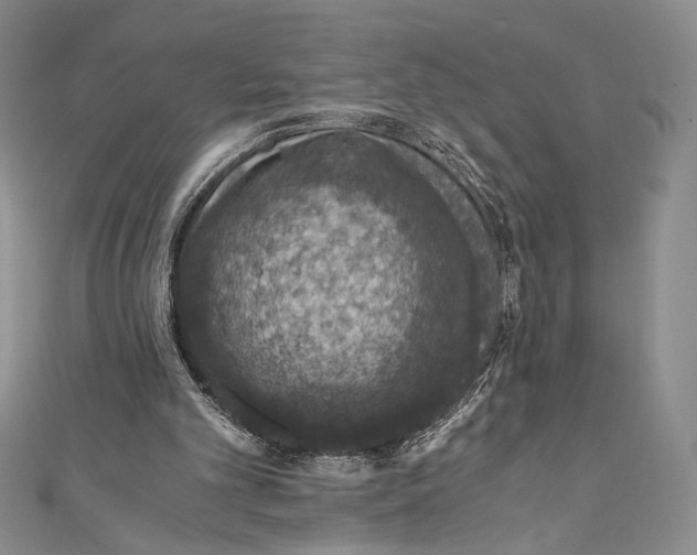 X0000110890101200907091403