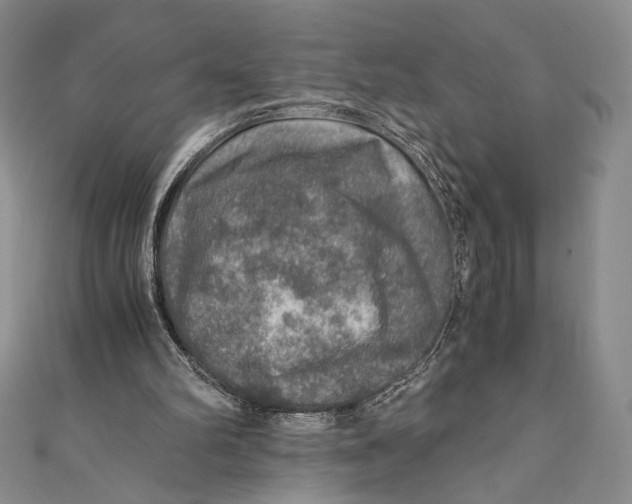 X0000110890102200907091403