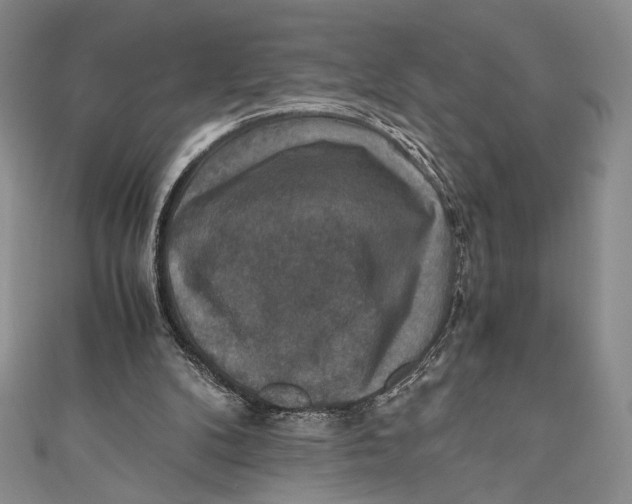 X0000110890104200907091403