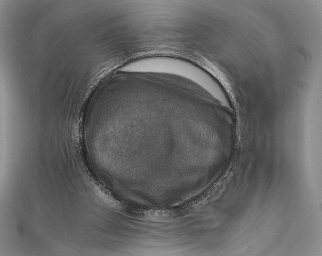 X0000110890105200907091403