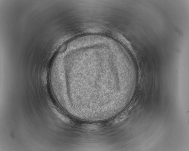 X0000110890106200907091403