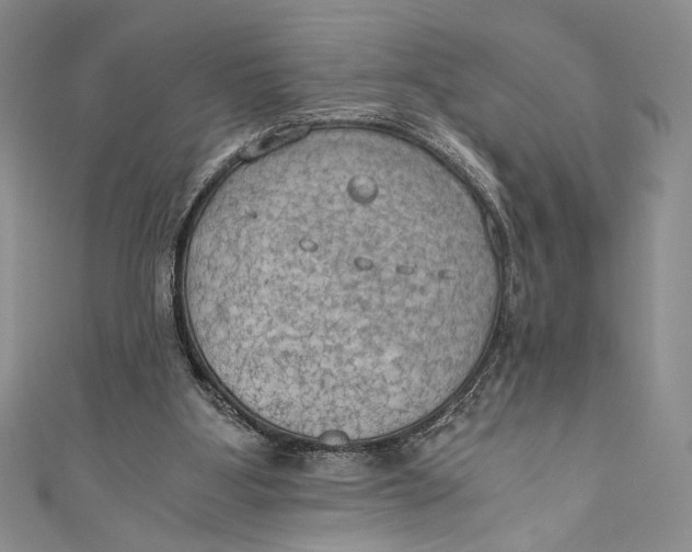 X0000110890107200907091403