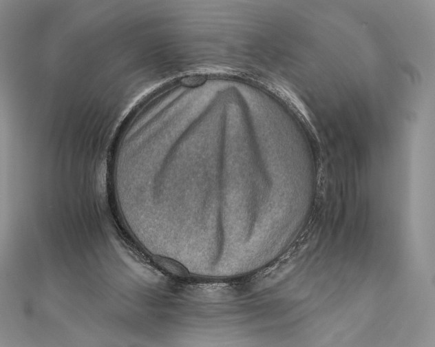 X0000110890108200907091403