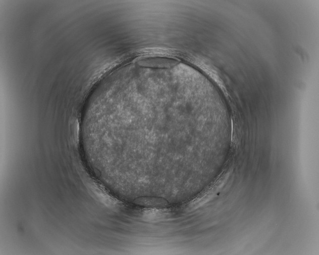 X0000110890109200907091403