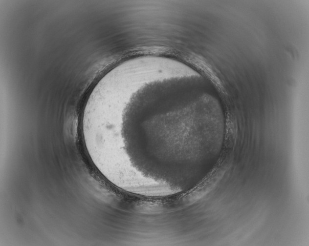 X0000110890110200907091403