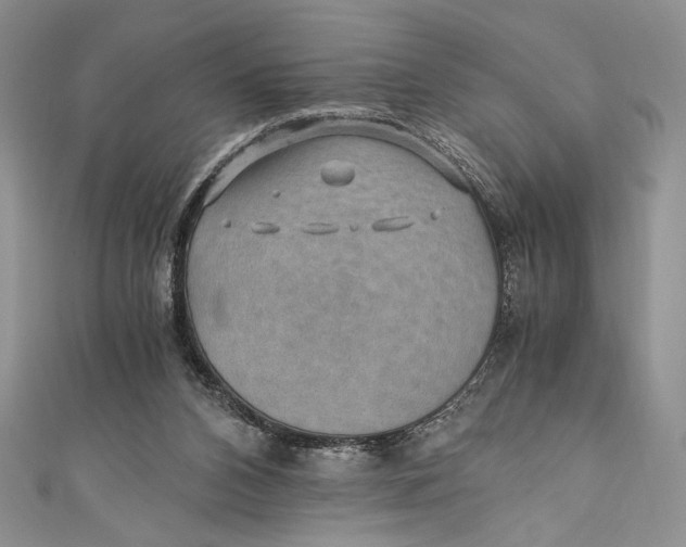 X0000110890112200907091403