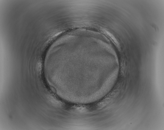 X0000110890113200907091403