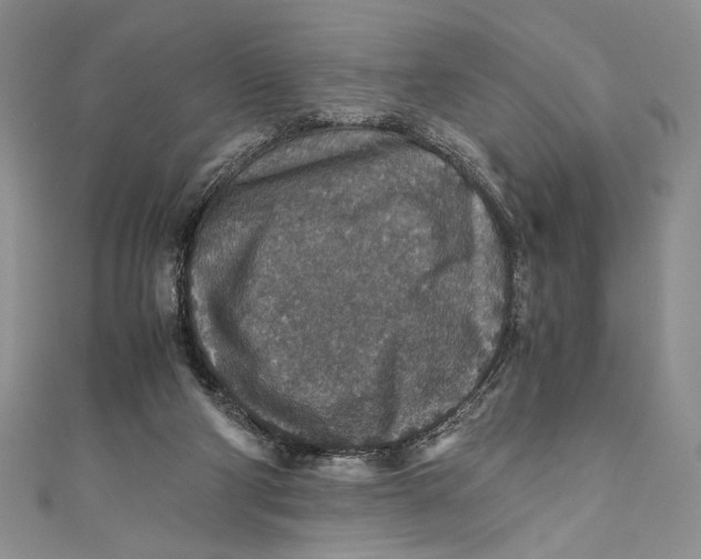 X0000110890114200907091403