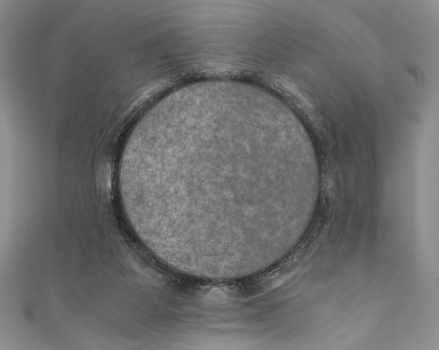 X0000110890115200907091403