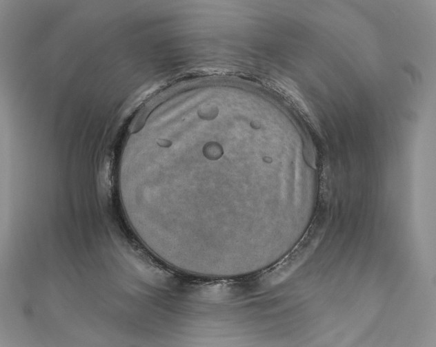 X0000110890116200907091403