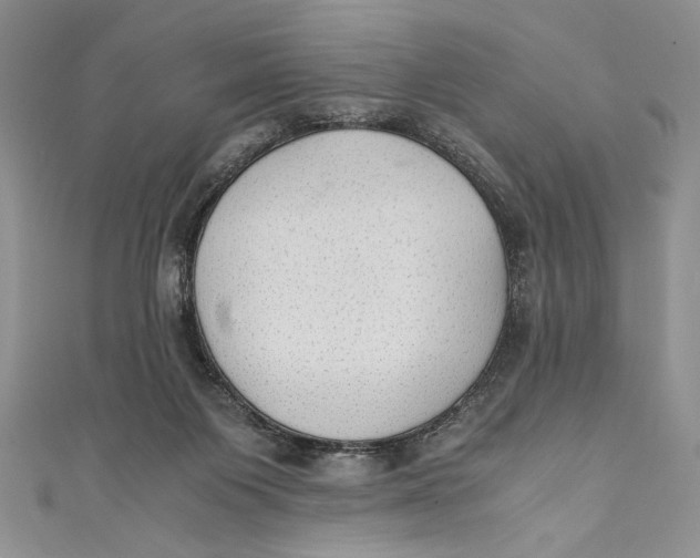 X0000110890119200907091403