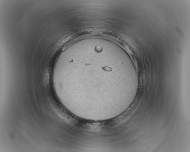 X0000110890120200907091402