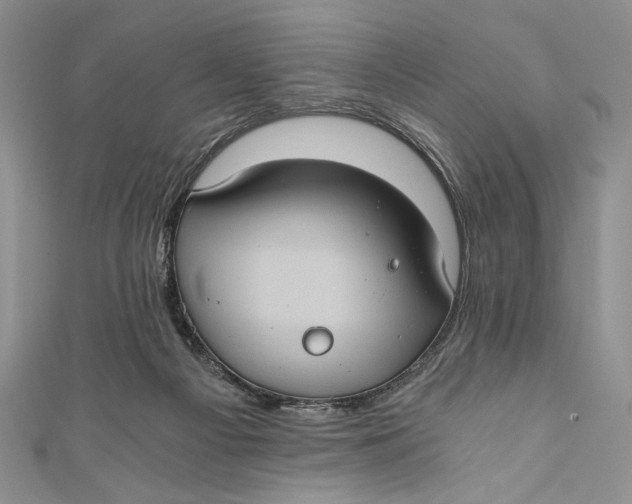 X0000110890121200907091402