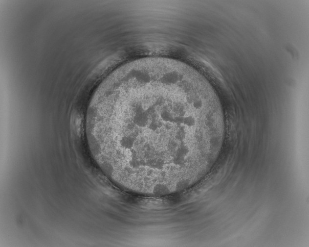 X0000110890123200907091402