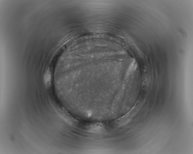 X0000110890124200907091402