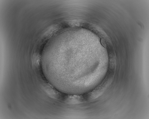 X0000110890125200907091402