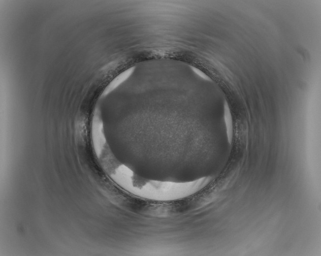 X0000110890127200907091402