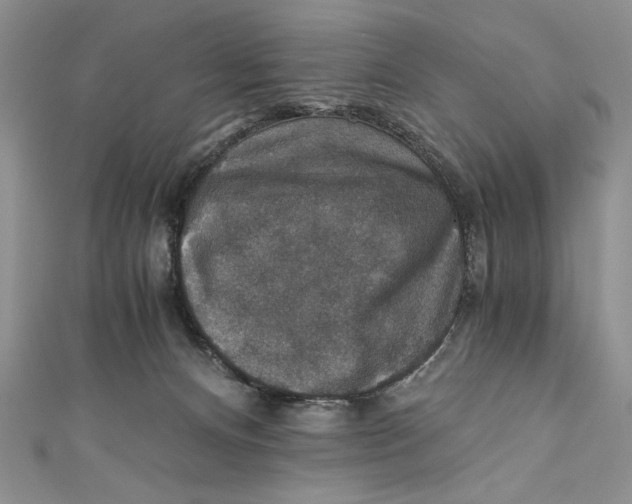 X0000110890128200907091402