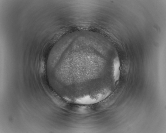 X0000110890130200907091402