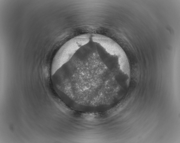 X0000110890131200907091402