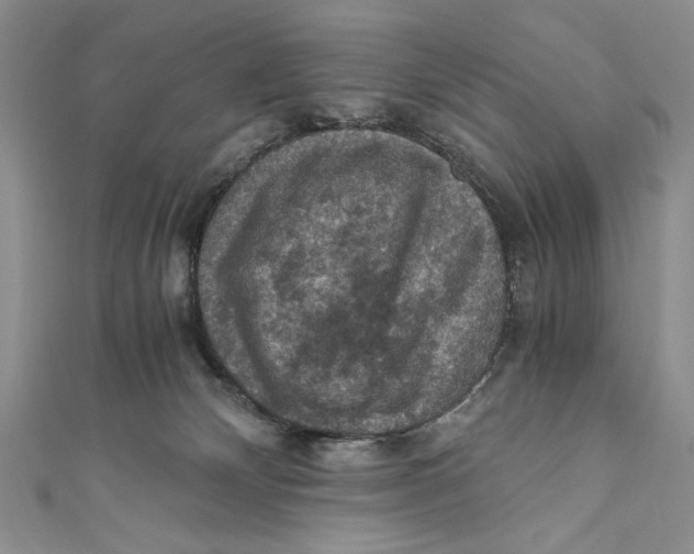 X0000110890132200907091402