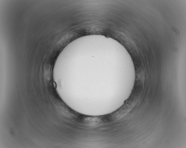 X0000110890133200907091402