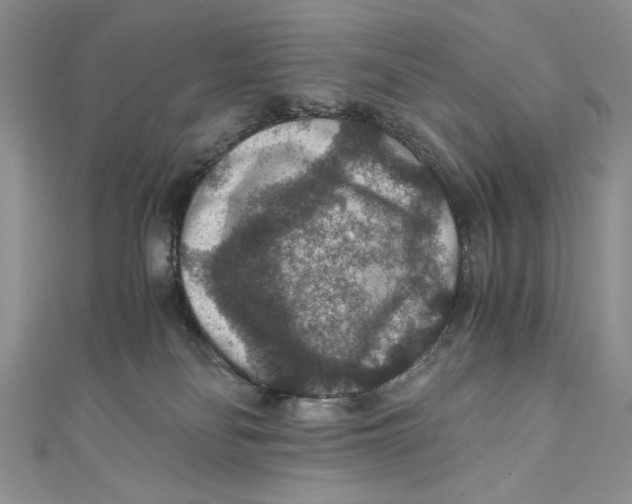 X0000110890134200907091402