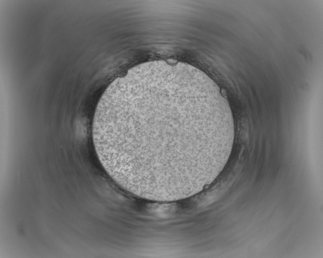 X0000110890135200907091402