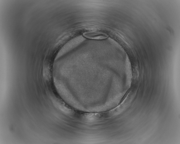 X0000110890136200907091402