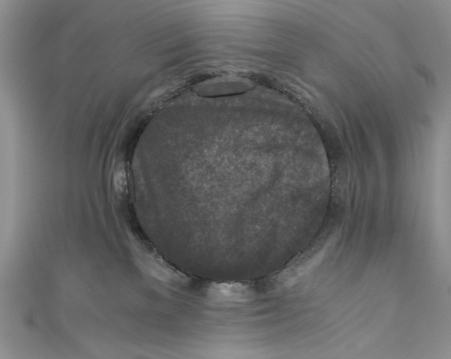 X0000110890137200907091402