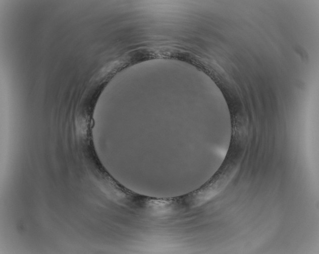 X0000110890139200907091402