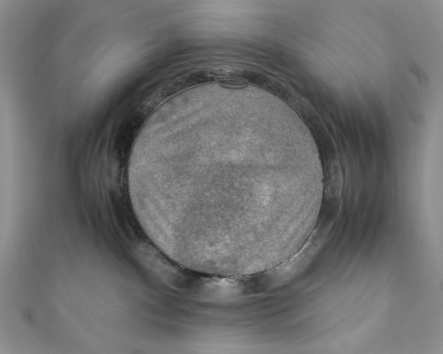 X0000110890140200907091402