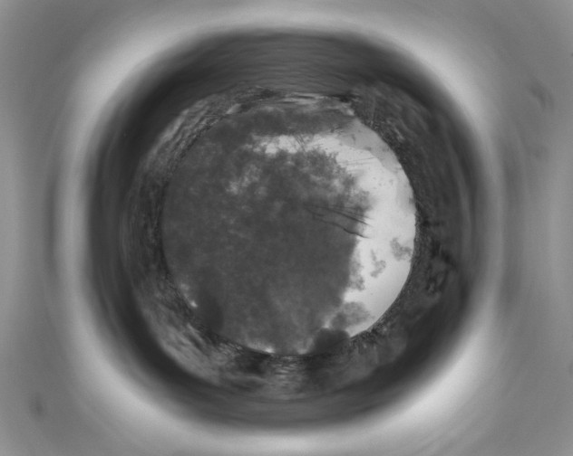 X0000110890143200907091402