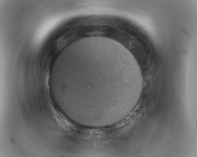 X0000110890146200907091402