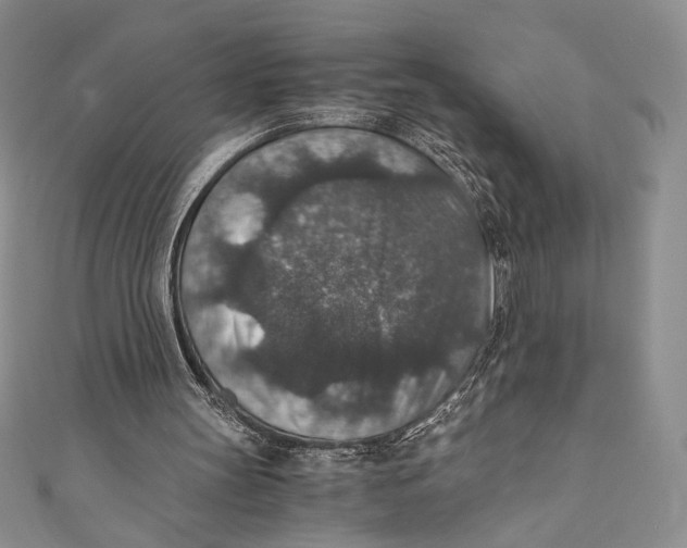 X0000110890147200907091402