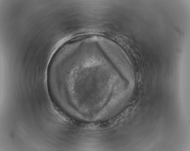 X0000110890148200907091402