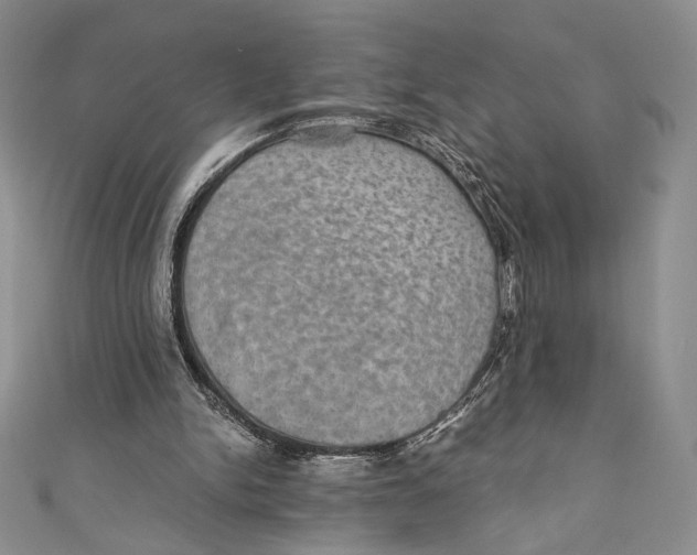 X0000110890150200907091402