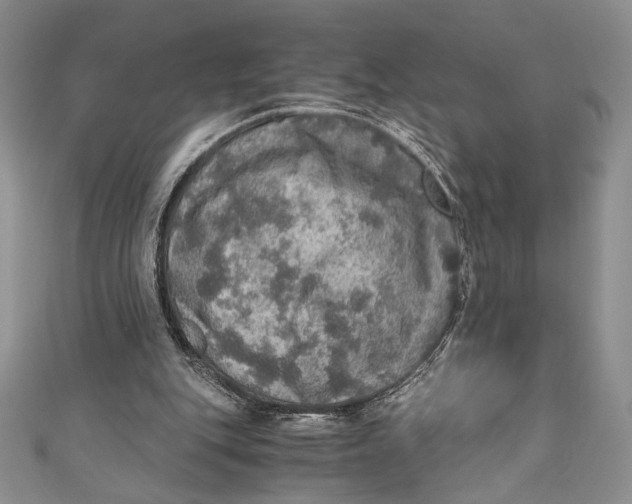 X0000110890151200907091402