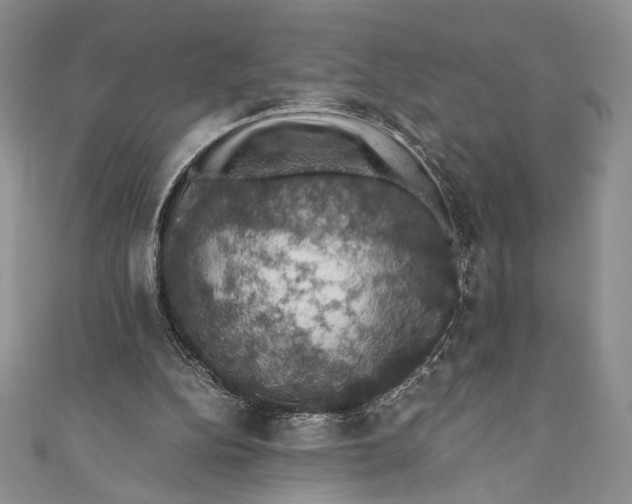 X0000110890152200907091402