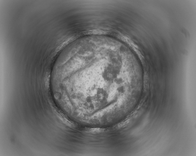 X0000110890153200907091402