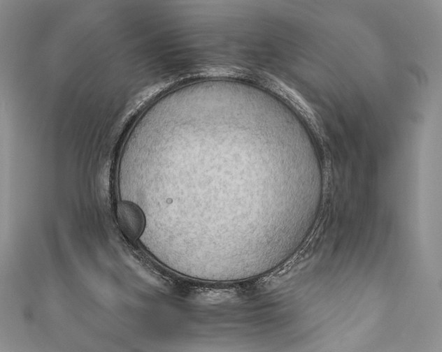 X0000110890155200907091402