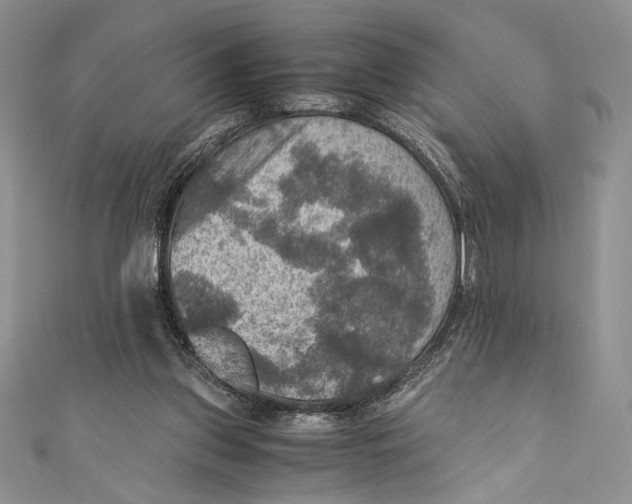 X0000110890157200907091402