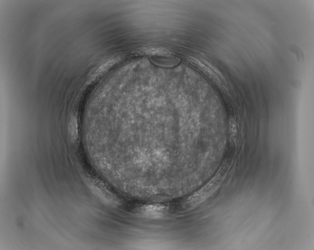 X0000110890158200907091402