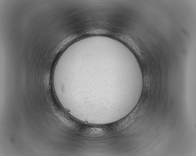 X0000110890159200907091402