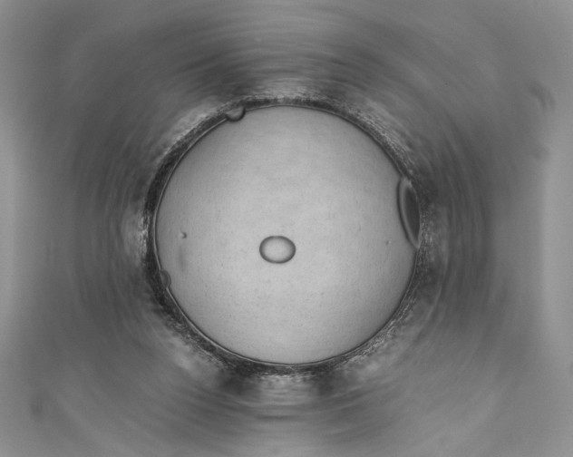 X0000110890160200907091402