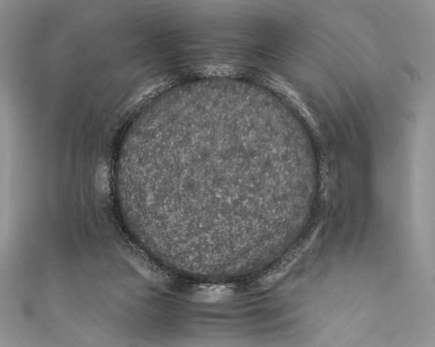 X0000110890161200907091402