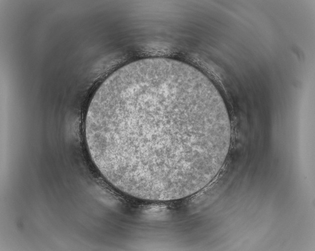 X0000110890162200907091402