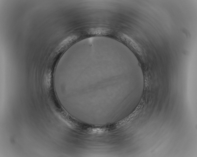 X0000110890163200907091402