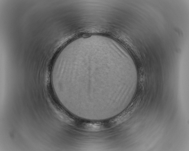 X0000110890164200907091402